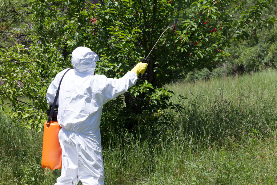 Integrated pest management