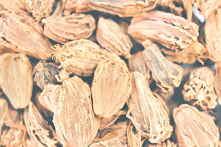 The spice of life