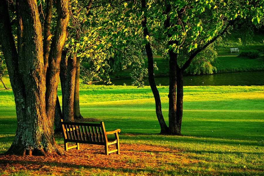 A park of our own
