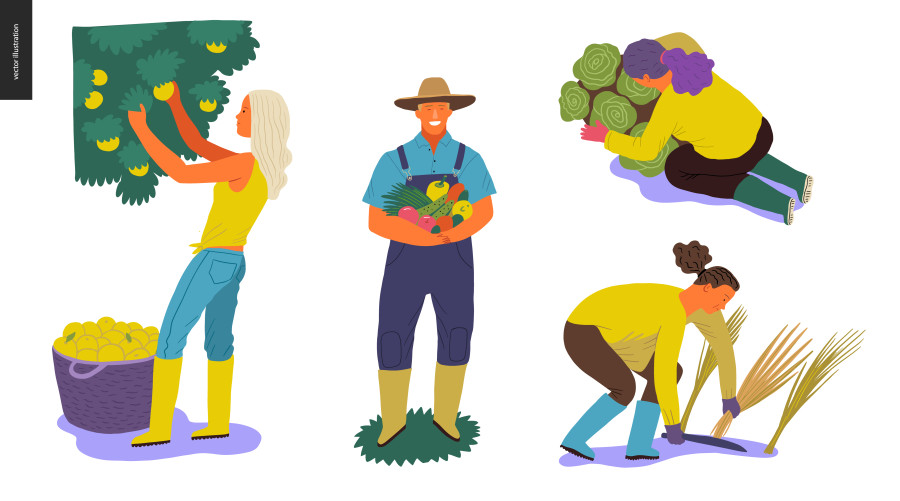 Youth engagement in agriculture