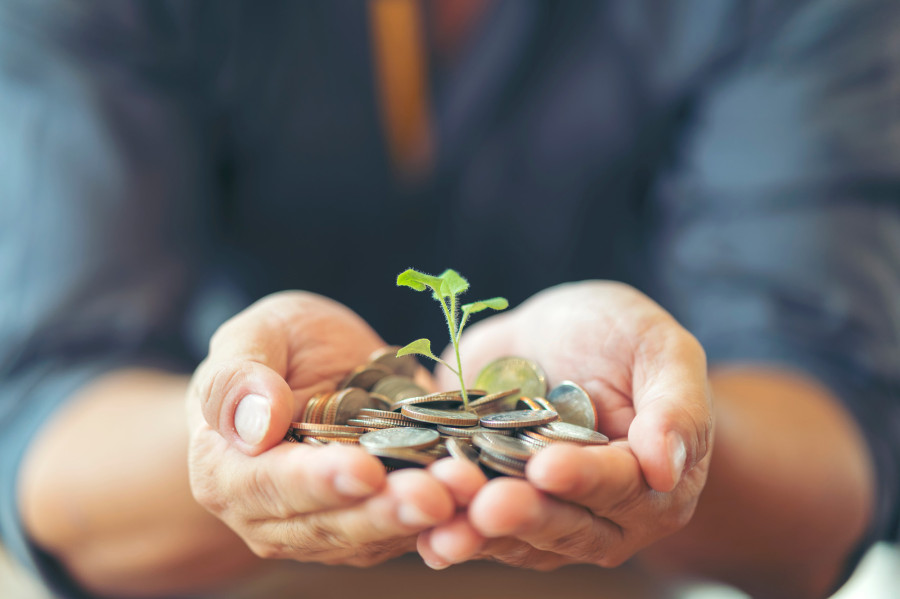 In defence of small investments
