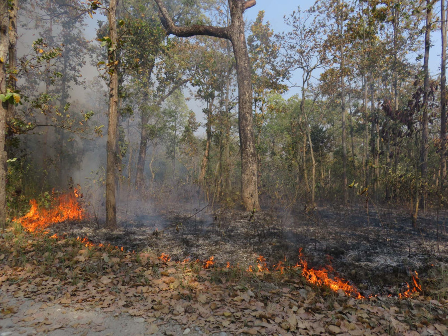 Wildfire spreading at several community forests in Chure region