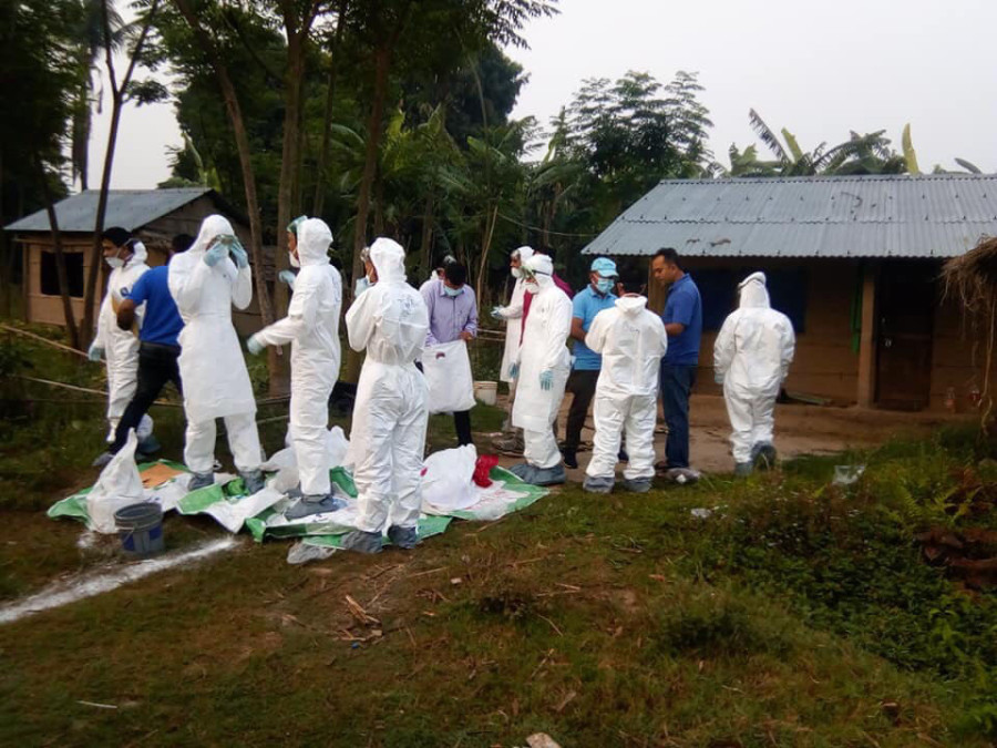 Bird flu detected in Nawalparasi (East)