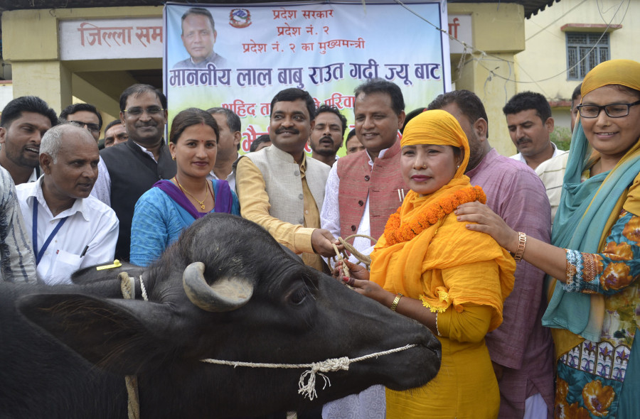 The injured and families of martyrs wanted cash. They got buffaloes instead.