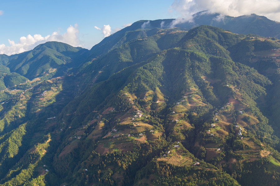 Dadeldhura, once covered with forests, is gradually losing trees