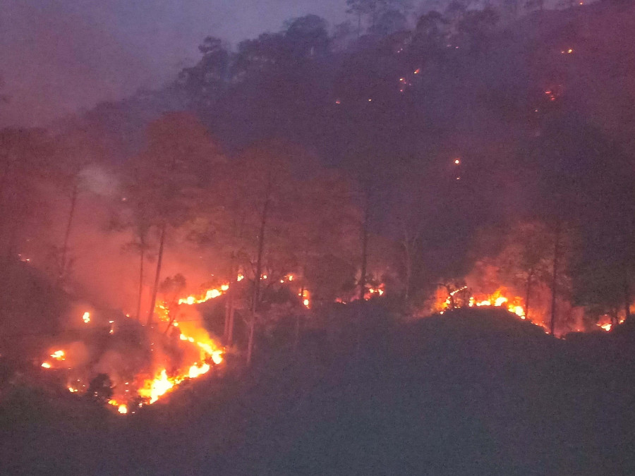 Wildfires affect 40 percent of Kailali’s forest cover in 10 days