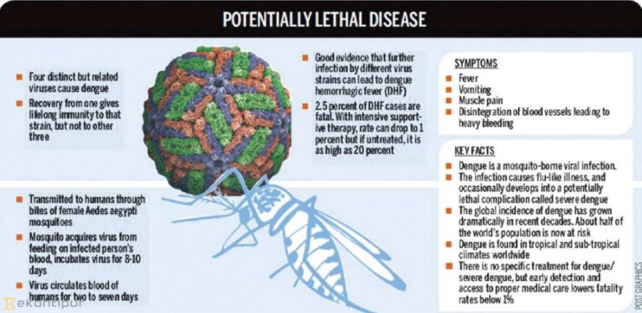 Woman, 35, dies of dengue in Dharan