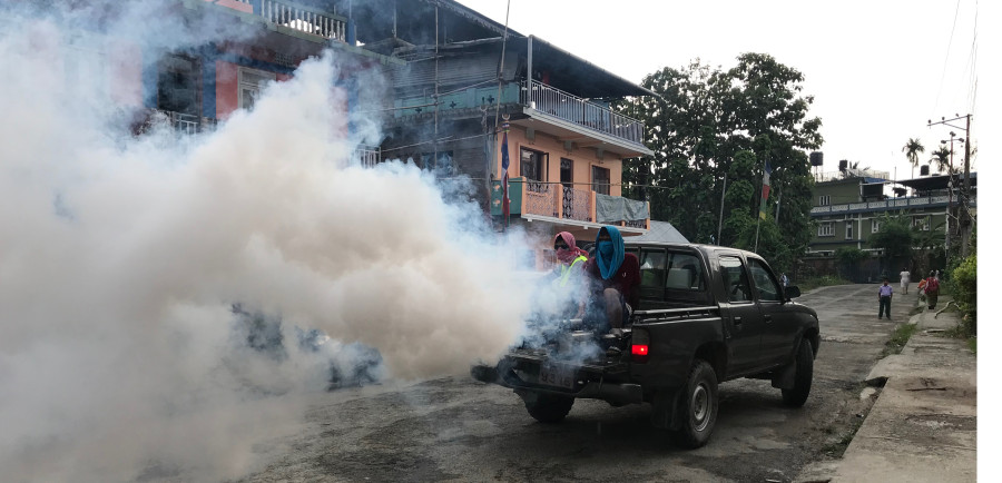 Province assembly allocates Rs8 million to contain dengue in Dharan