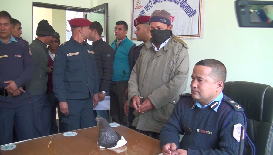 Man held with rhino horn in Dhangadhi