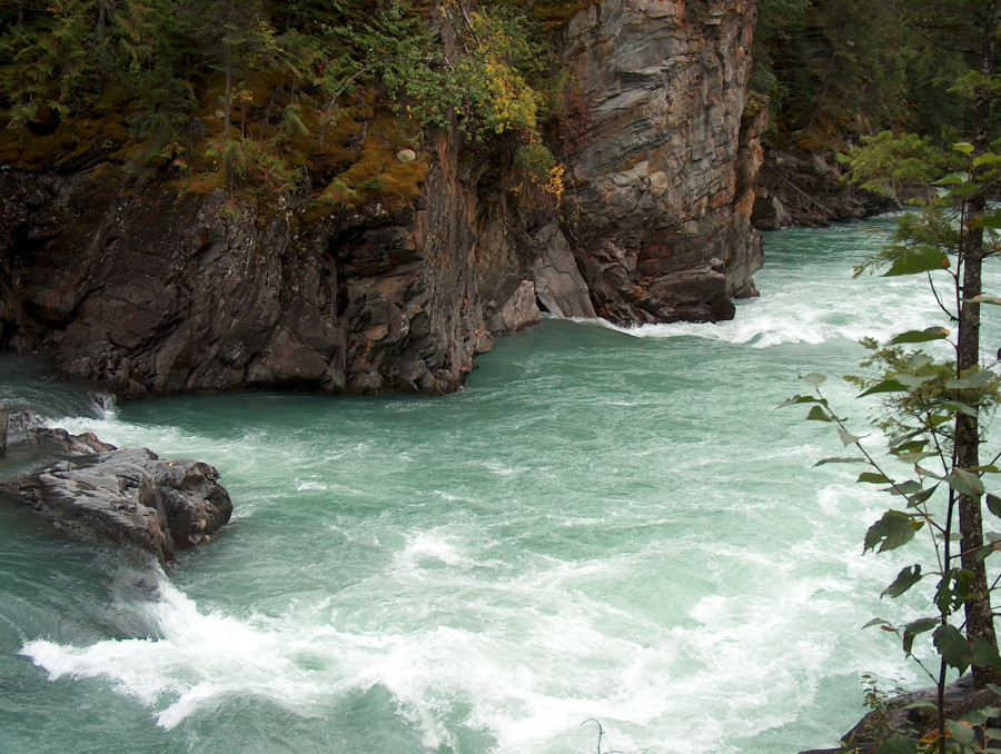 Freshwater ecosystems
