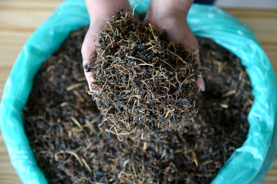 Nepal’s indigenous fermented foods are good for gut health