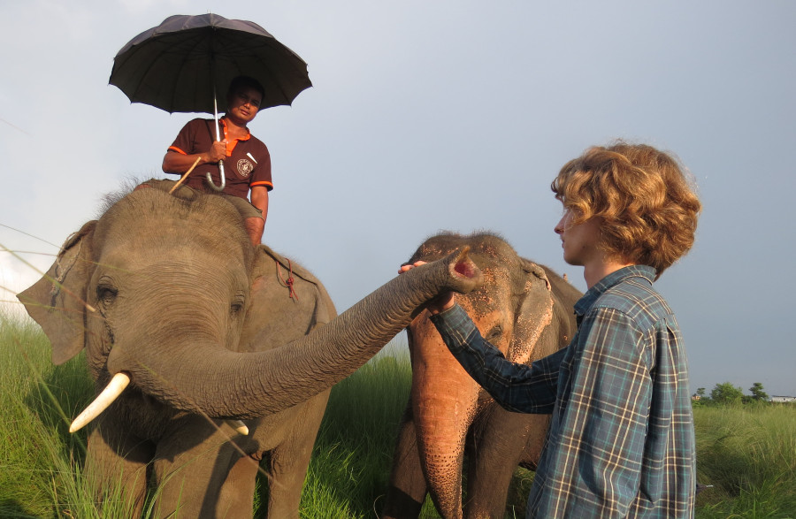 With criticism growing, fewer tourists are riding elephants in Chitwan