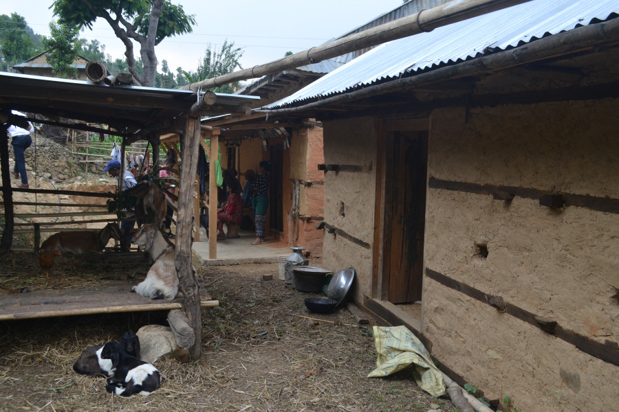 Genuine victims deprived of housing reconstruction grant after many families use fraudulent documents to misuse aid