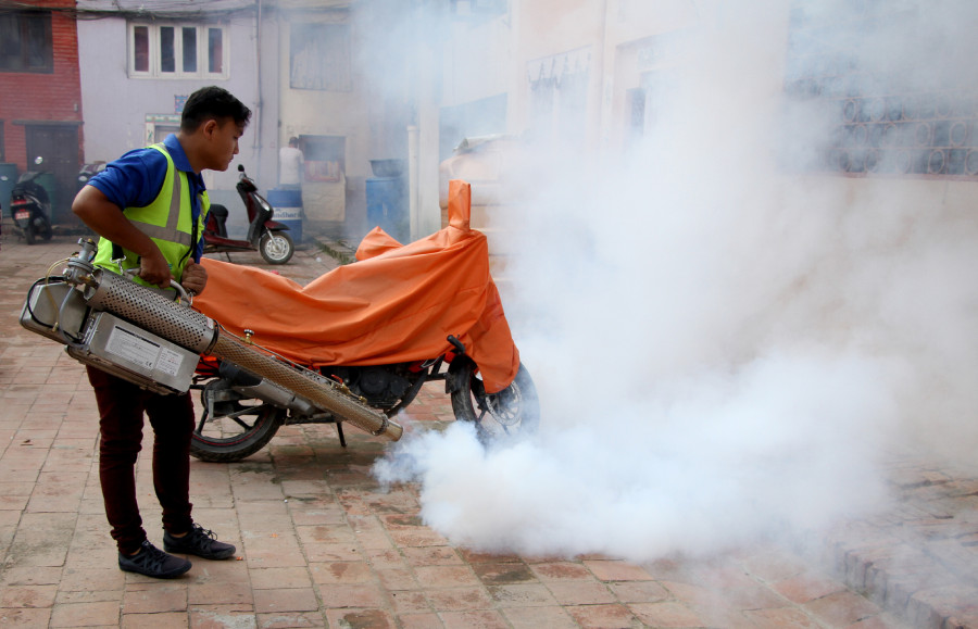 Fogging does not help contain dengue epidemic, experts say