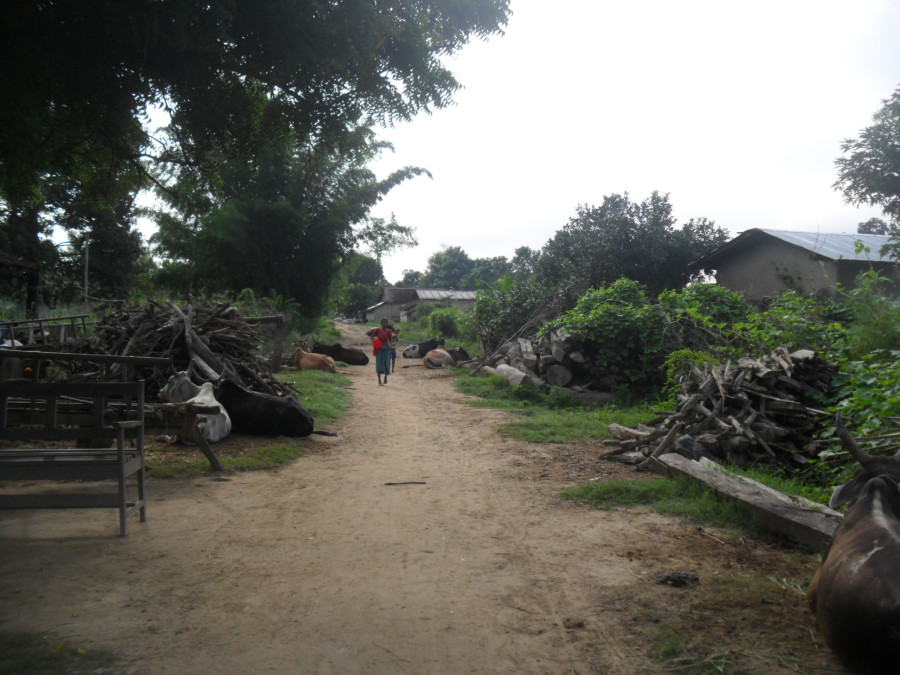 Three settlements in Kailali depend on India for livelihood