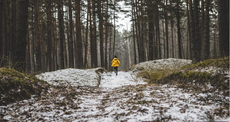 The Seven Deaths of Evelyn Hardcastle warps time, space and minds