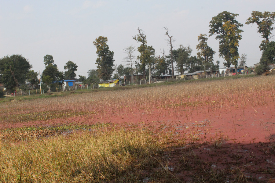 Archaeological site believed to be from the Buddha-era lies neglected
