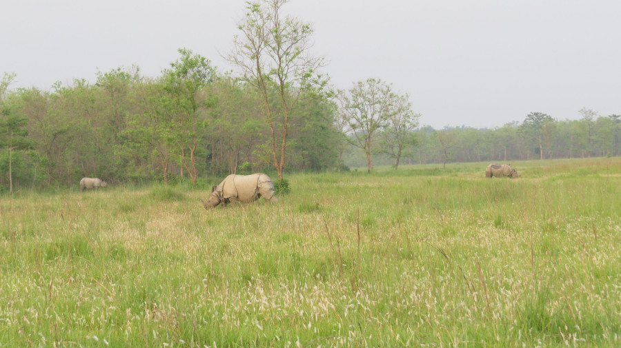 Thriving tourism in Namuna community forest benefits many local residents