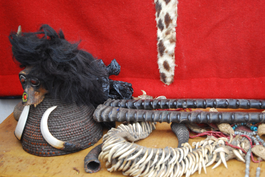 Wildlife parts smuggling continues despite strict laws