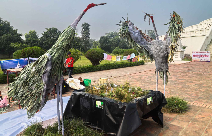 Lumbini hosts sarus crane festival to raise awareness on the endangered bird