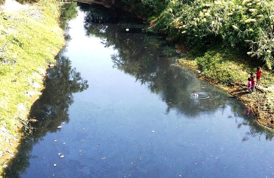 Owner and manager of a leather factory in Parsa Bara arrested over Sirsiya stream pollution