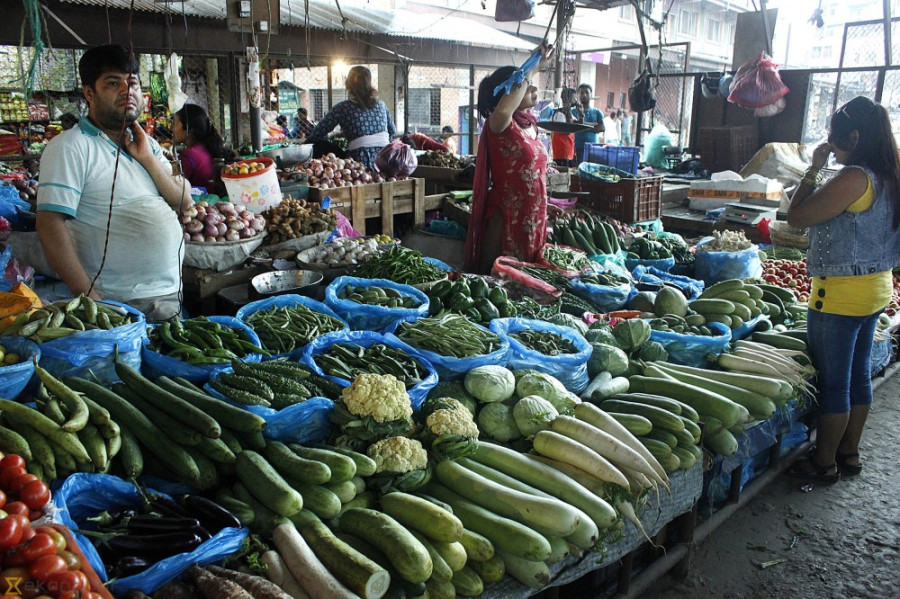 Decisions over pesticide tests reveal how the government takes ad hoc measures