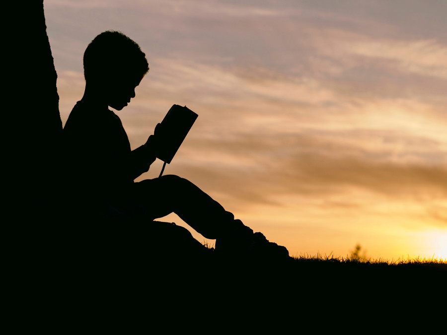 A tale of a book thief