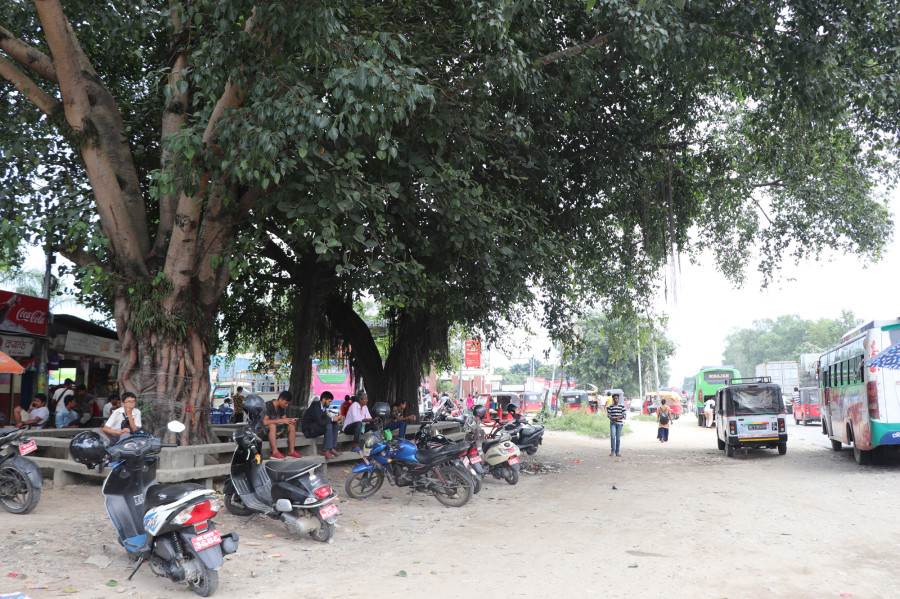 Where have all the chautaris gone?