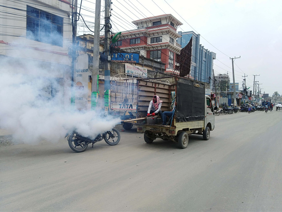 Dengue fear: Chitwan on high alert