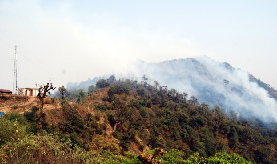 Forest bill is faulty and it raises questions over ownership: Experts