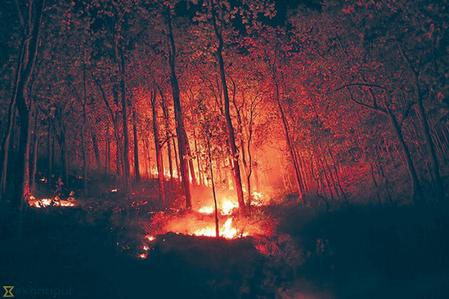 Country is going through worst wildfire season on record