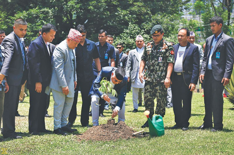 Government to plant 50m trees next fiscal year