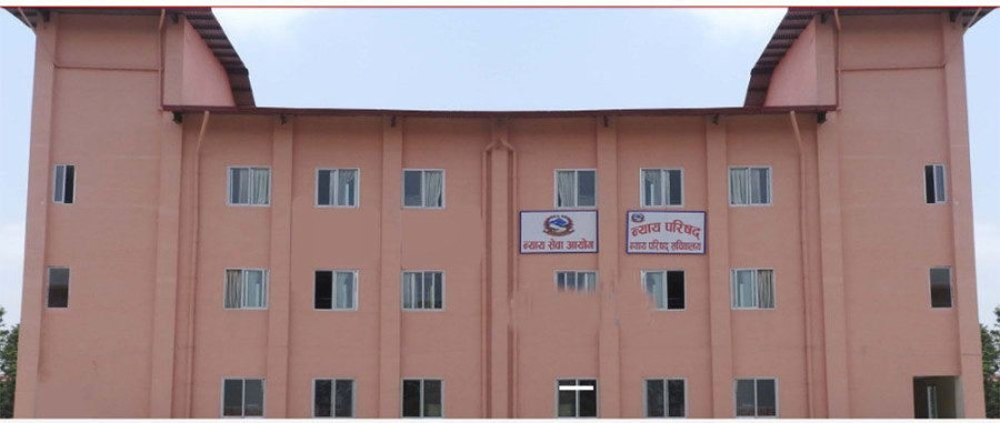 Legal and constitutional experts find fault with Judicial Council’s structure