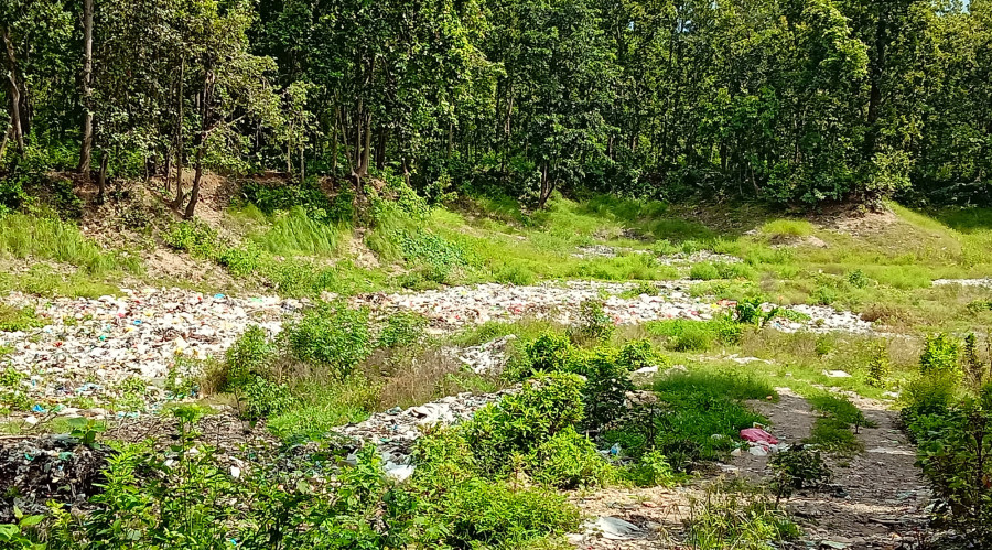 Pond turned into a dumping site threatens wildlife