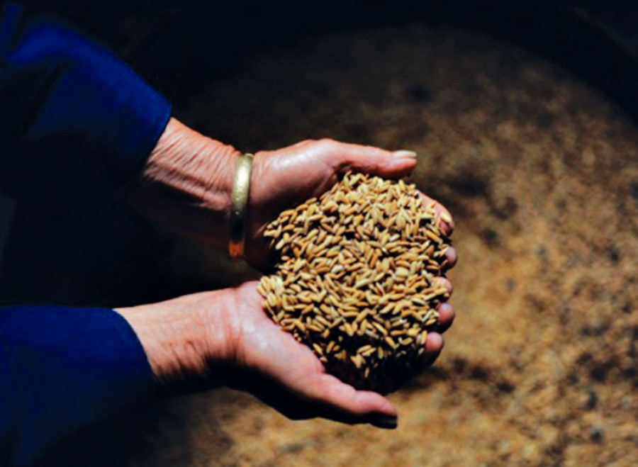 Plenty of work remains to end hunger by 2025, Amnesty report says