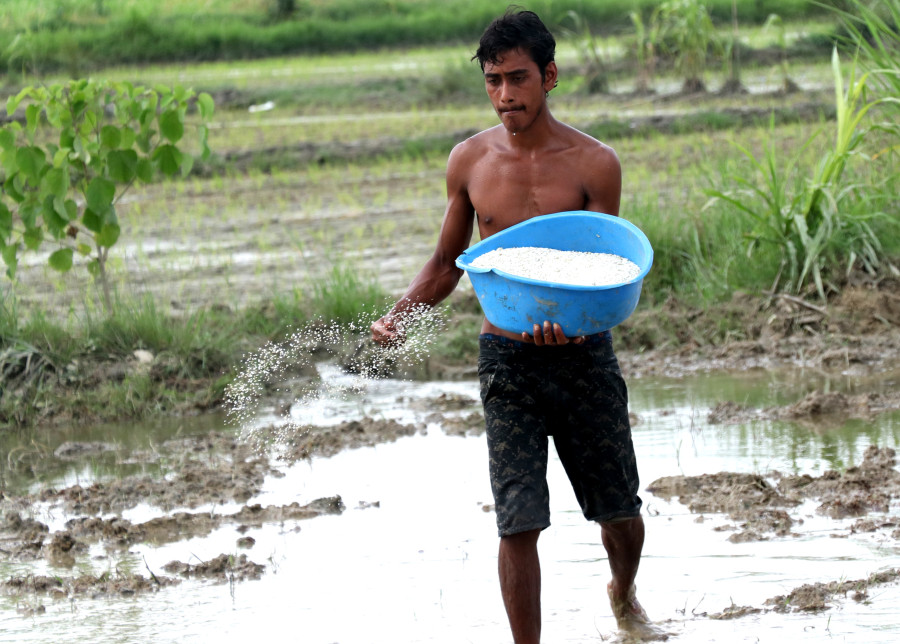 Farmers hit by fertiliser shortage
