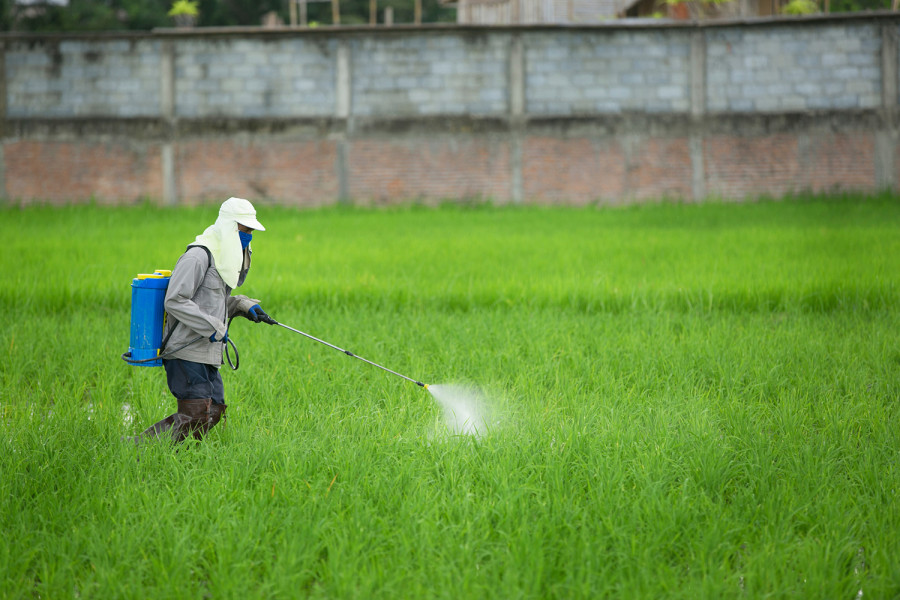 Government mulls signing agreement with India to allow mutual recognition of domestic pesticide tests