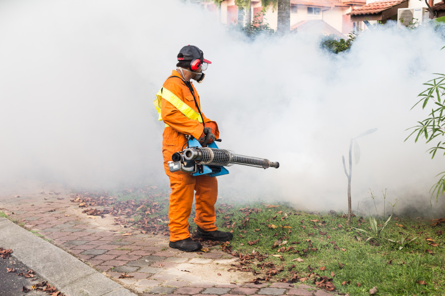 Dharan launches mosquito search and destroy drive