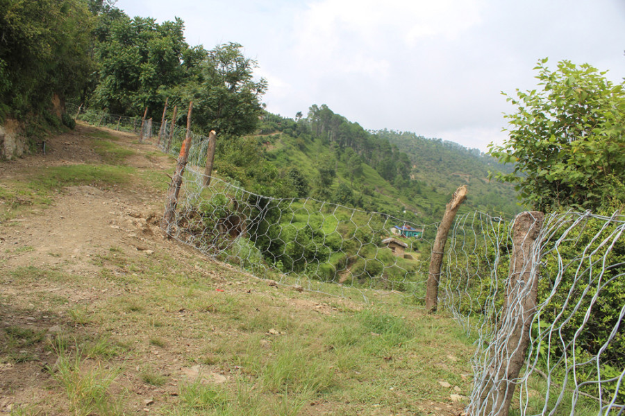 Ajayameru residents construct a fence to protect crops from wild boars