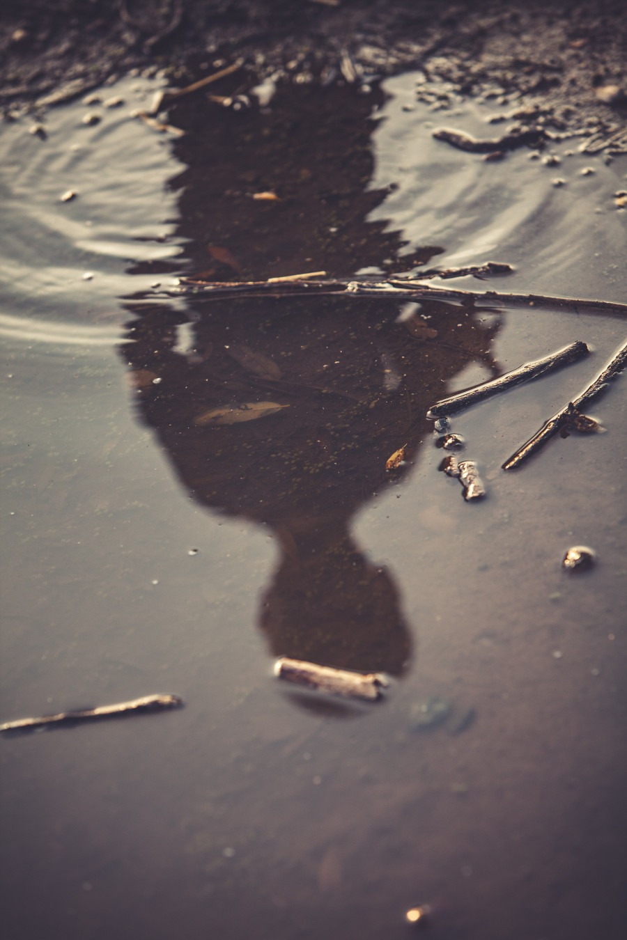 Reflections and confessions