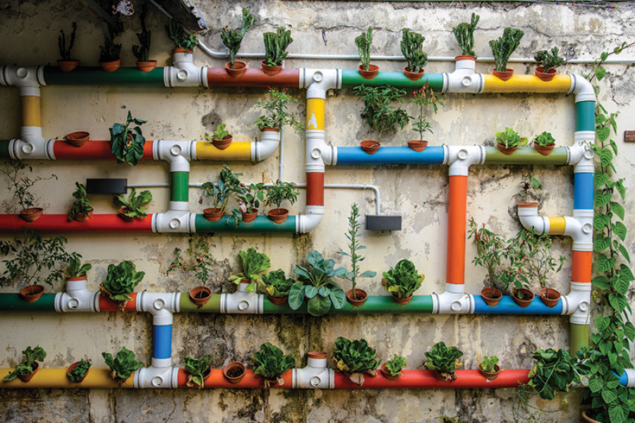 Cultivating green thumbs