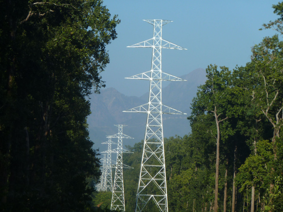 Land acquisition and forest clearance issues delay transmission line project