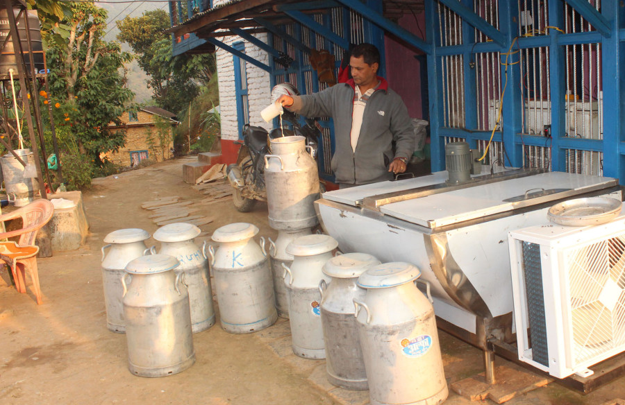 State-owned dairy turns to India as milk demand outstrips supply