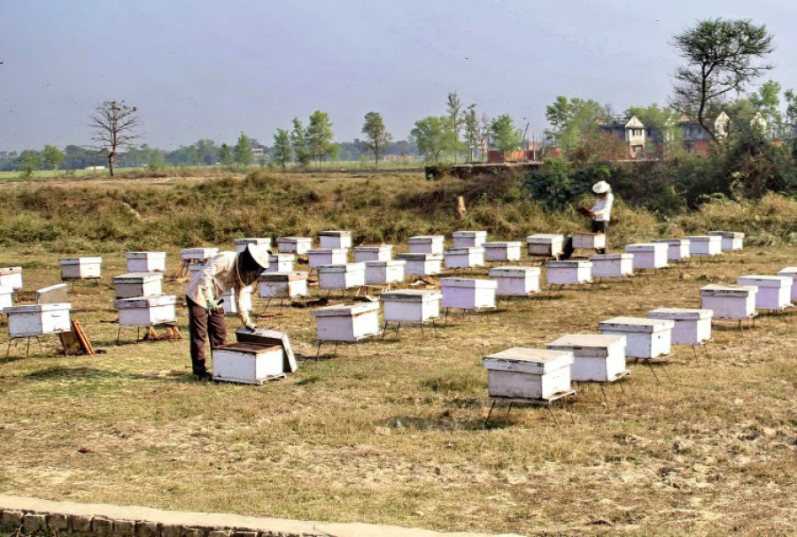 Ministry moves to expand the export basket to trim trade deficit