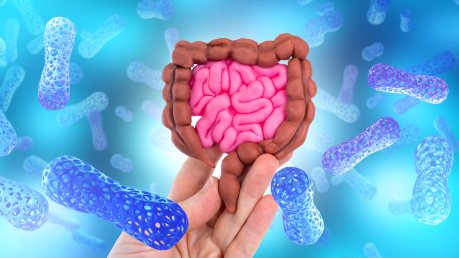 Good viruses for sound health