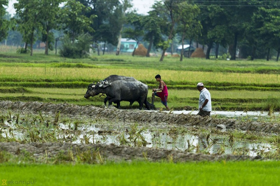 Monsoon rains seen ‘below normal’ in east, ‘normal’ in west
