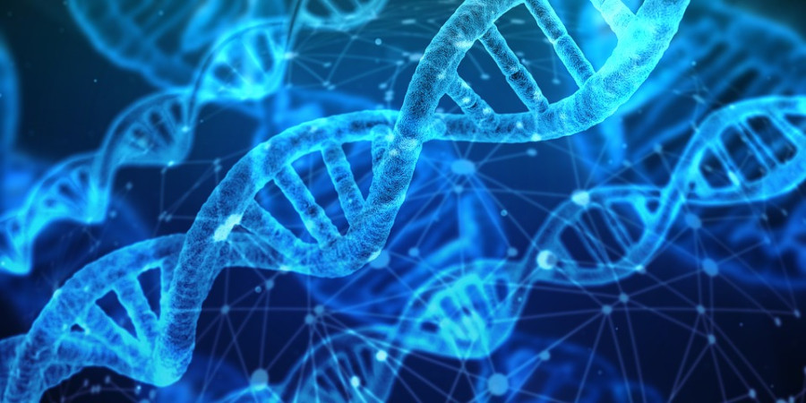 Genetic analysis can guide Nepal’s development