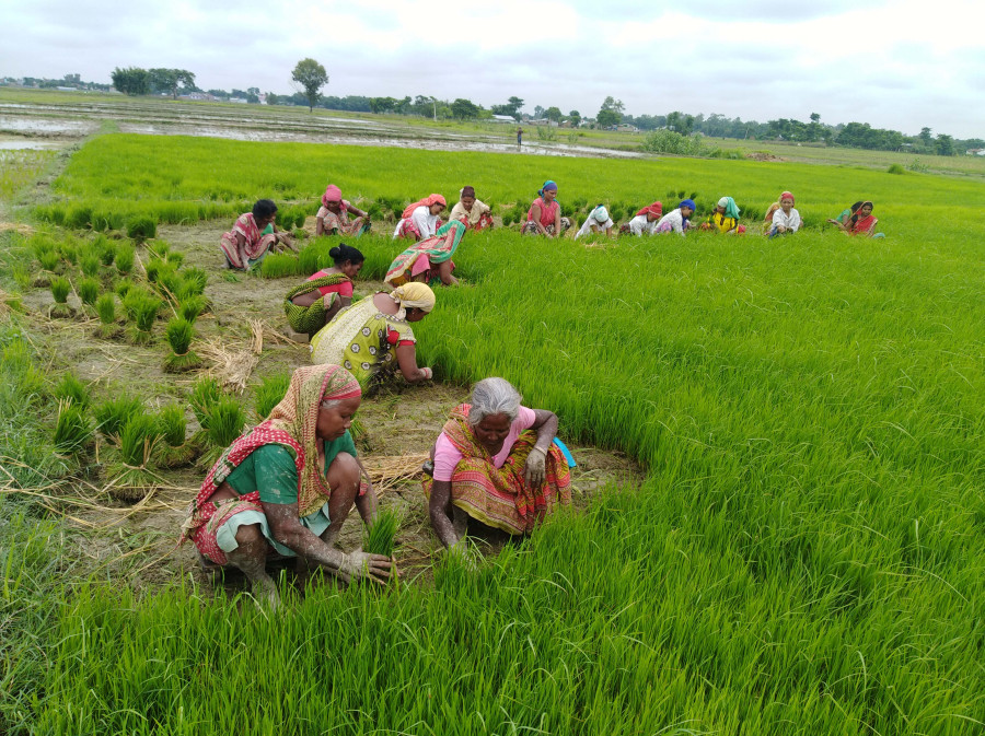 Nepal will have to wait a few more days before the rains come down