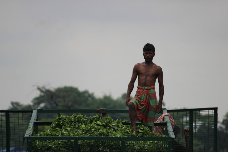 Tea estate workers in east demand minimum wages