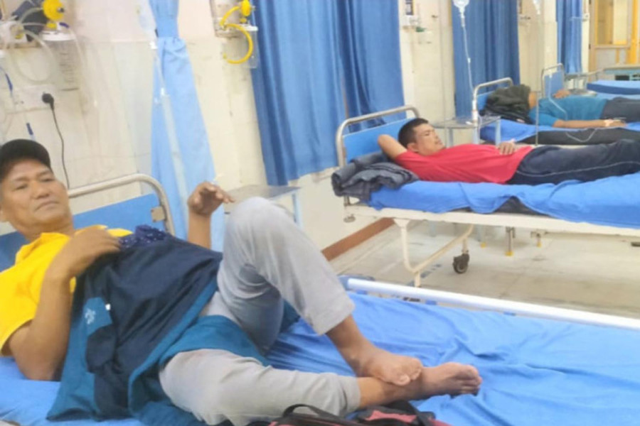 Eight of a family ill after eating wild mushrooms